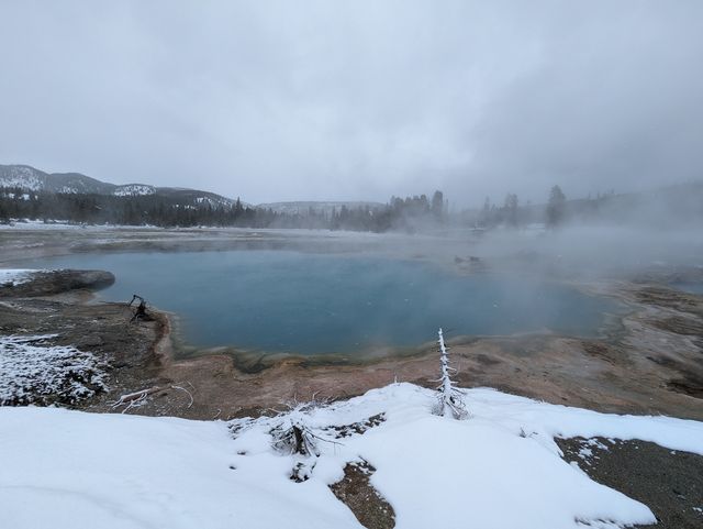 Where to Go for Christmas: A Unique Experience at Yellowstone