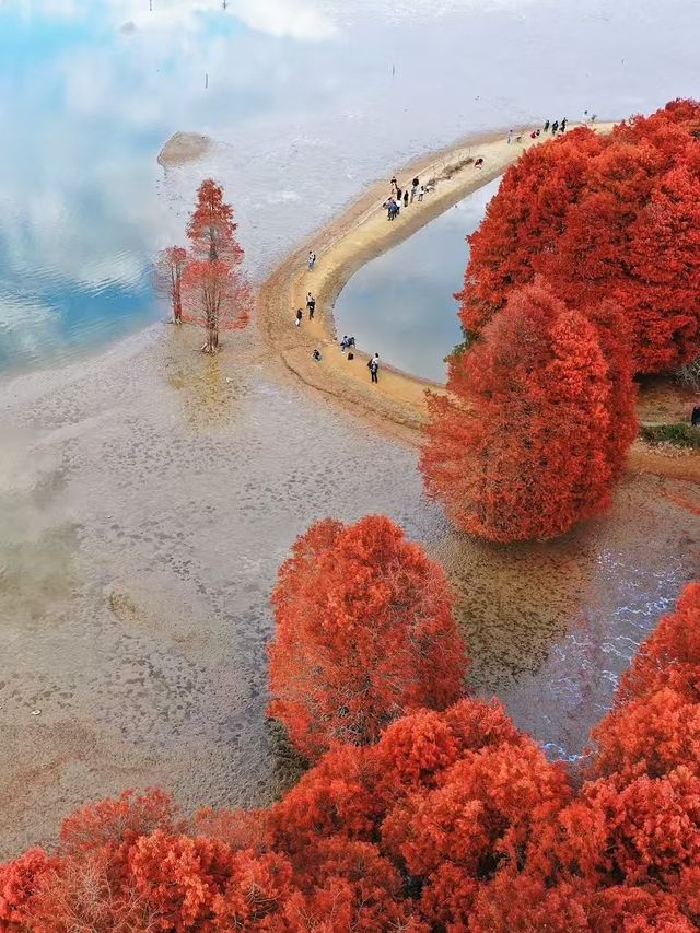 寧波賞秋去哪｜i人精選主打人少景美