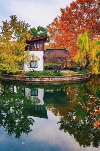 在上海市區的賞秋地圖當中，這是一個頗為冷門的小公園。