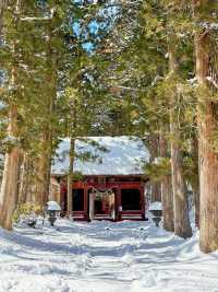 長野戶隱神社雪地徒步，最新遊玩指南～