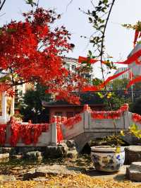 南京毗盧寺禪意秋色