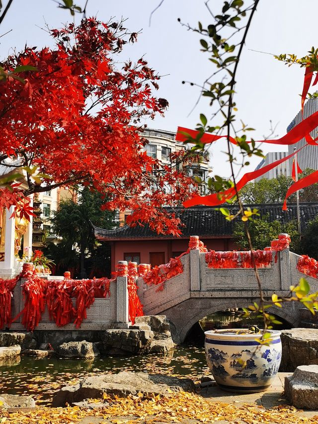 南京毗盧寺禪意秋色