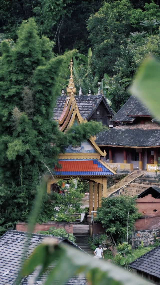 景邁山人少又安逸