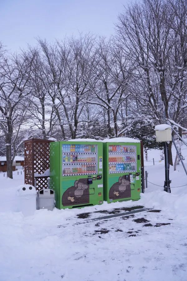 旭川 | 🐧可愛動物園&周邊好吃拉麵店🍜