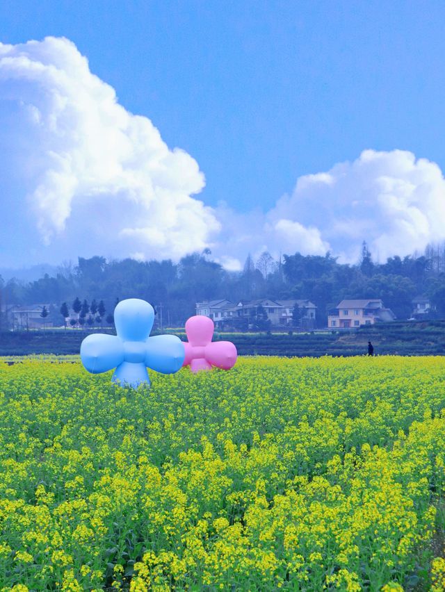 春日賞花之旅｜柳江古鎮油菜花海等你來遊