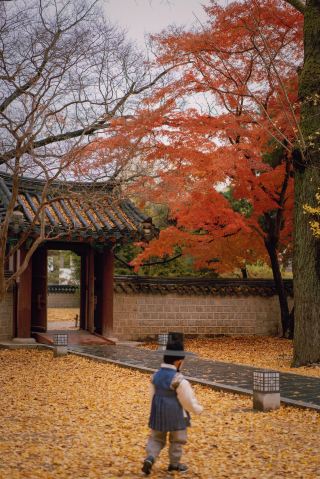 No need to squeeze into Seoul, take photos of 700 hanoks in Jeonju