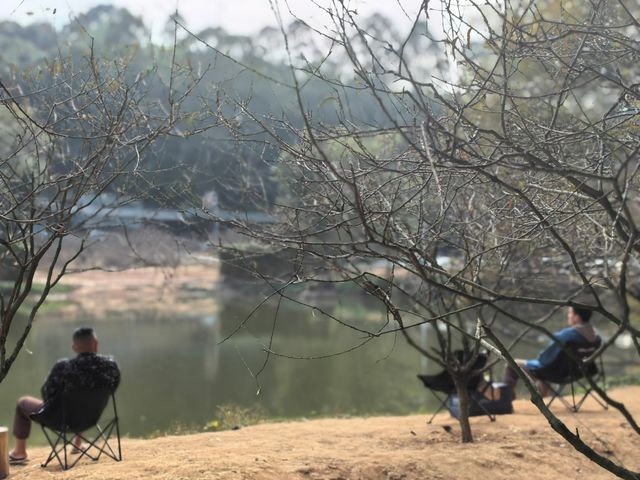 南國桃園｜分享佛山清幽午後好去處