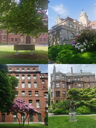 Cambridge, USA: A City of History and Academia