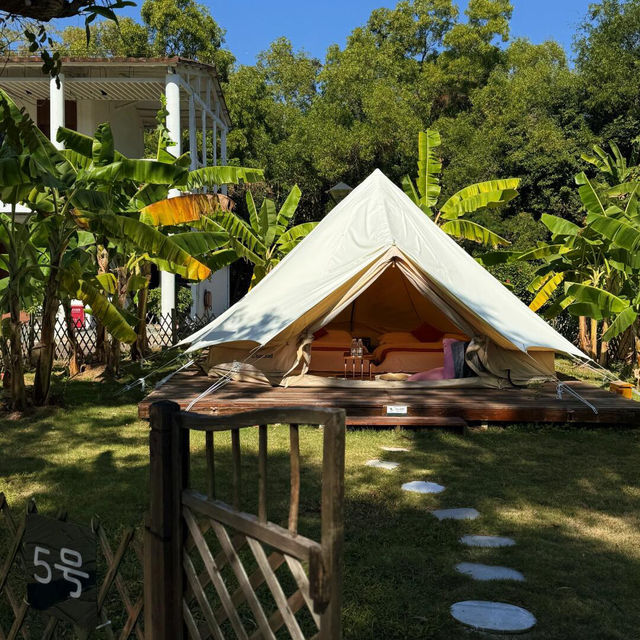 🌴深圳度假 | 誤以為到了西雙版納🌴