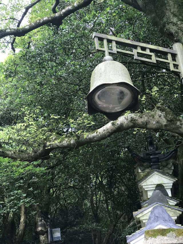 跟着歌聲去舟山｜普陀山遊玩重點