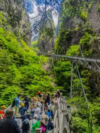 和家人去咗黃山，呢間酒店後勁太大啦…強推！！