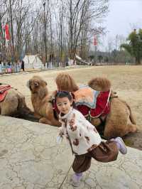 綿陽春節遛娃寶藏地 | 還會去10次的主題樂園