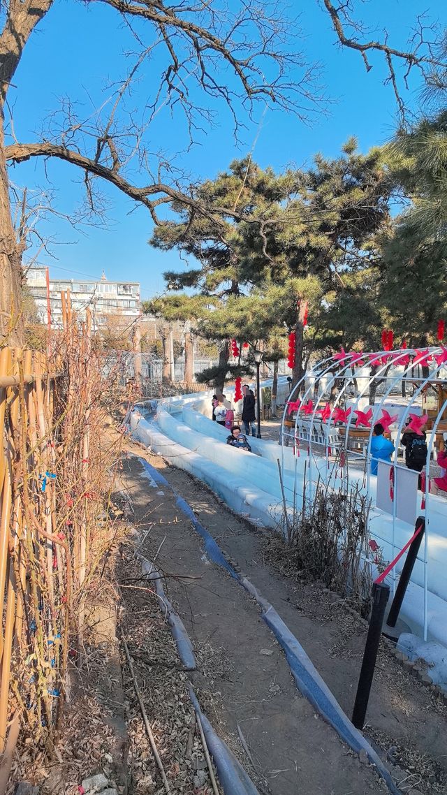 誰家的小朋友冰滑梯玩了16次｜室外遛娃