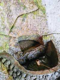鼎湖峰 這裡有「天下第一筍」 還可以看軒轅祭典哦