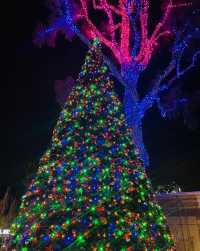 Experience a Warm Winter in Phoenix: Christmas Light Festivals