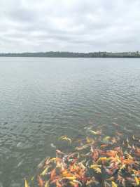 世界地質公園：湖光岩
