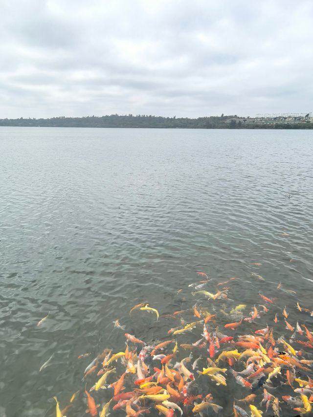 世界地質公園：湖光岩