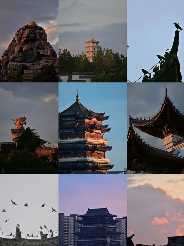 漫步文博園，觸摸千年歷史脈搏