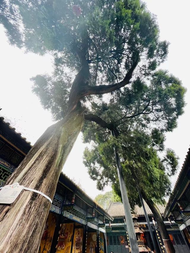 昭化古鎮 時光深處的千年回響
