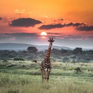 Makgadikgadi Salt Pans - Botswana's Natural Wonder