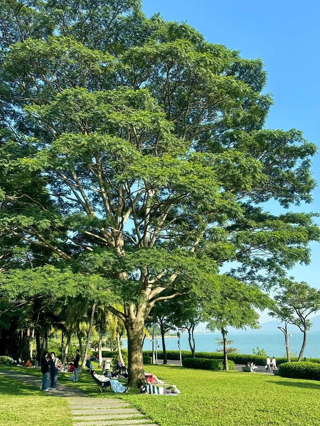 深圳遊玩全攻略｜本地人私藏路線&小眾玩法
