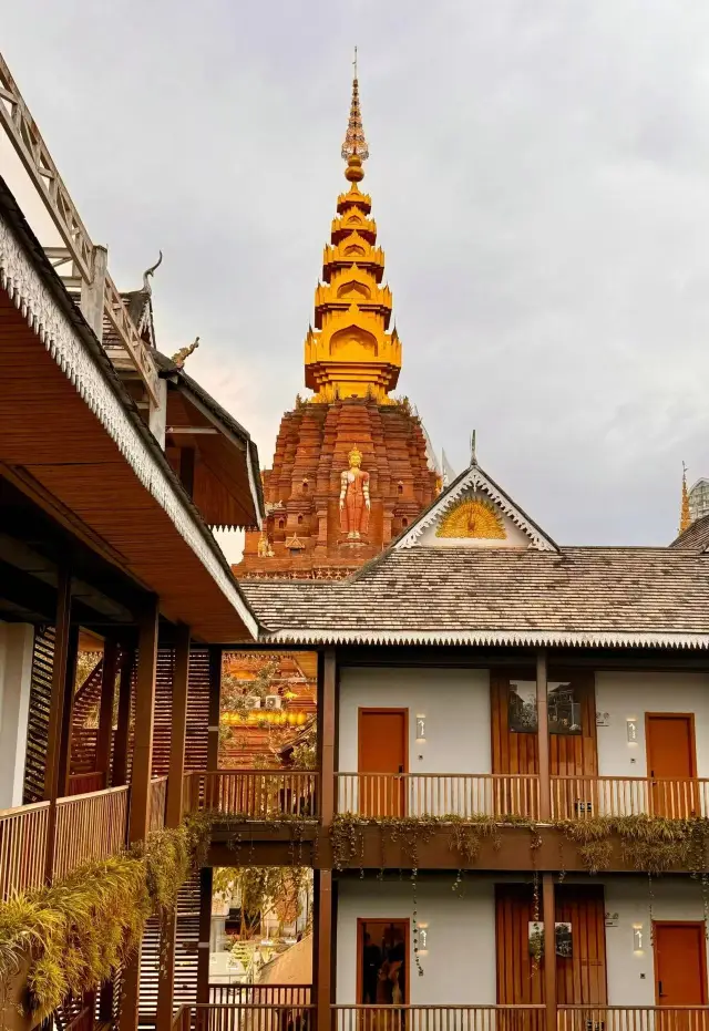 西雙版納玩了三天，我的消費觀真的崩塌了