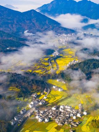 井岡山-廬山-景德鎮老友記超讚旅遊路線必收藏
