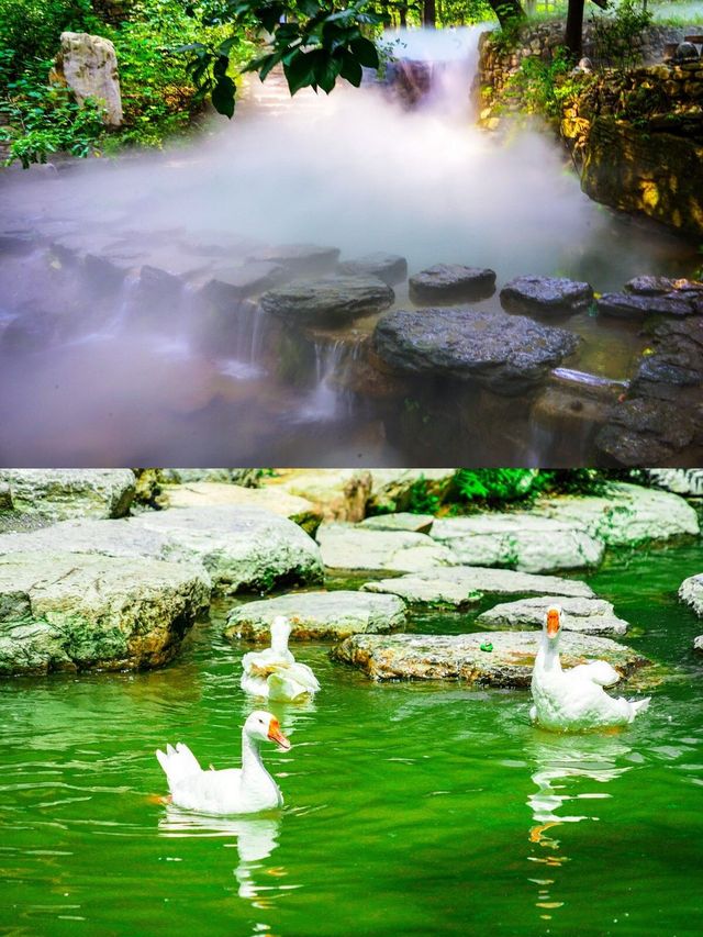 城市漫步探秘｜山西太原-大同-五台山全攻略