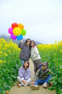 貴州萬峰林千畝油菜花