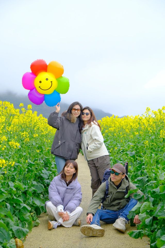 貴州萬峰林千畝油菜花