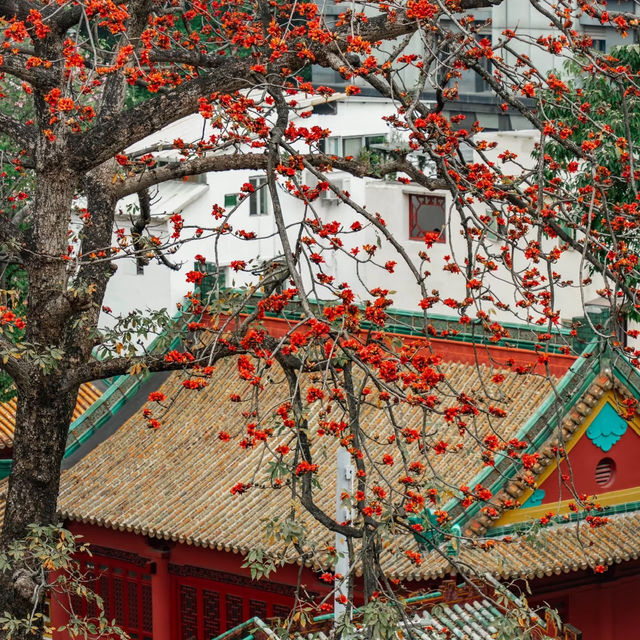 邂逅廣州藝術博物院，擁抱春天的色彩盛宴🌷