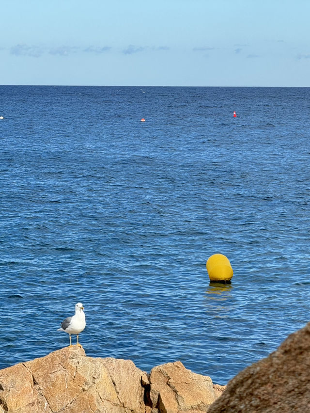 💙托薩小鎮半日漫遊｜地中海畔的慢活時光🏖️