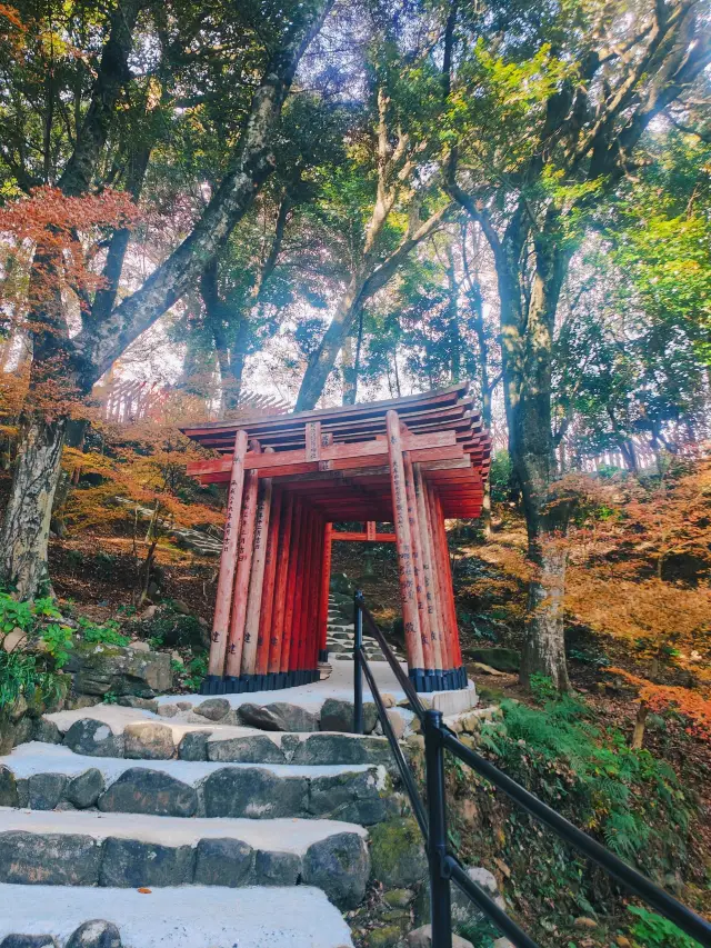 日本帶娃泡溫泉超實用攻略必收藏