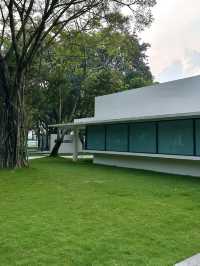 遠山綠影:漫步中山華僑公園