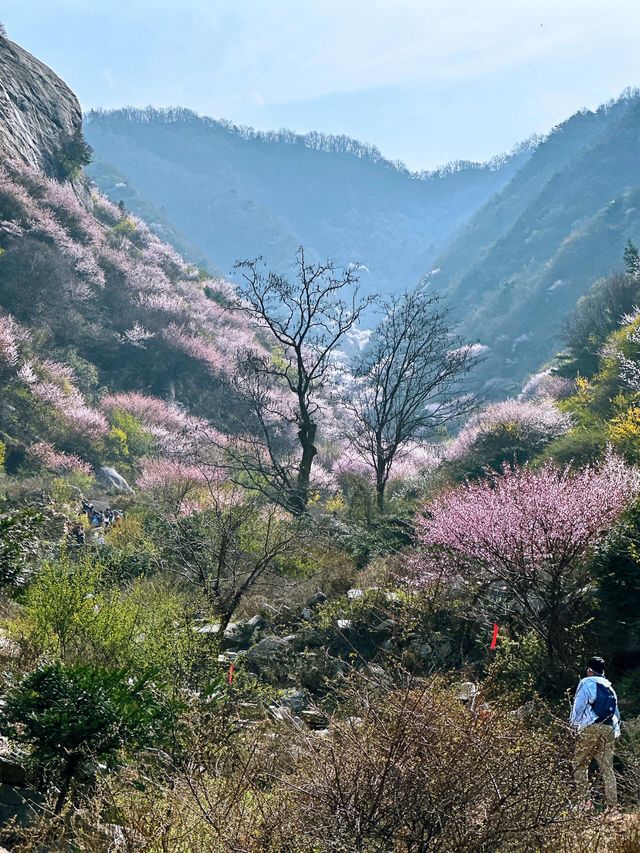 藍天三鳳山 | 西安周邊的世外桃源