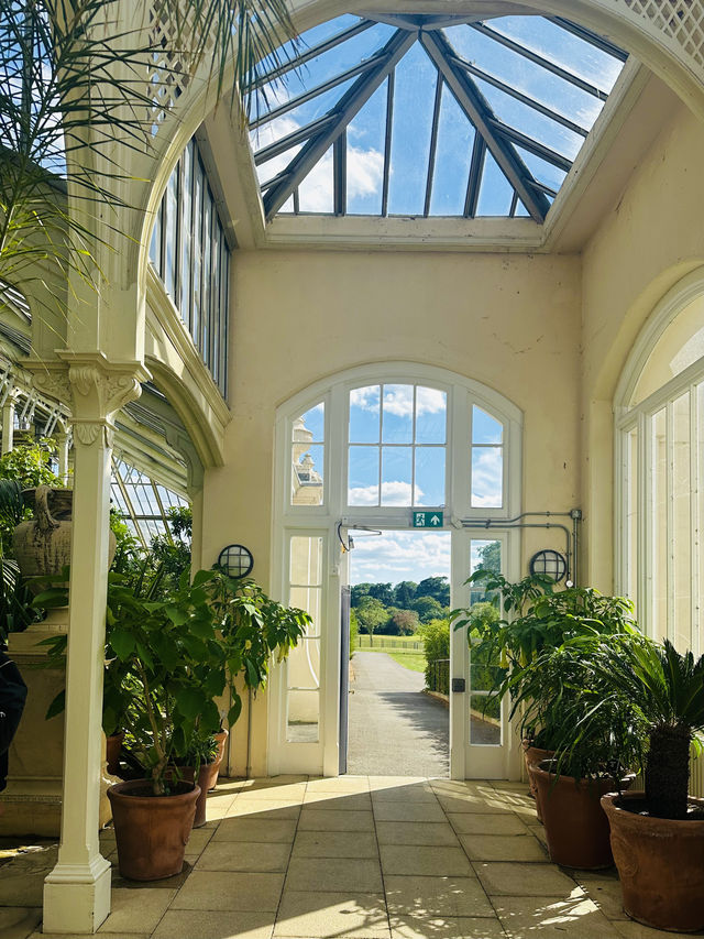 Kew Gardens' Water Lilies Are Blooming