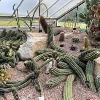 Exploring the Vastness of Kew Gardens