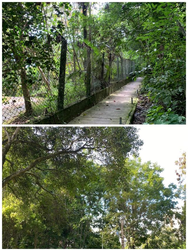 巴西弗洛里亞諾波利斯（Florianópolis）旅遊詳情