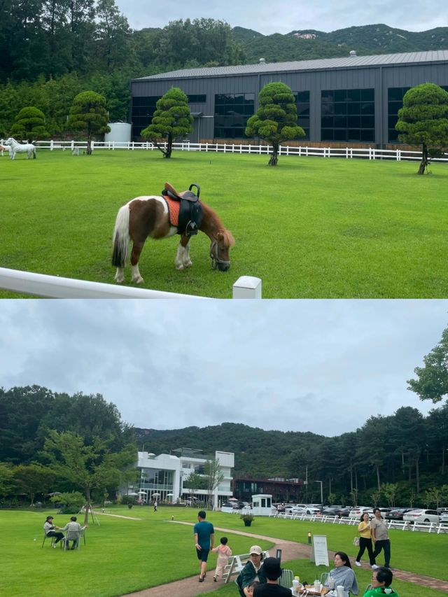 韓國儀政府