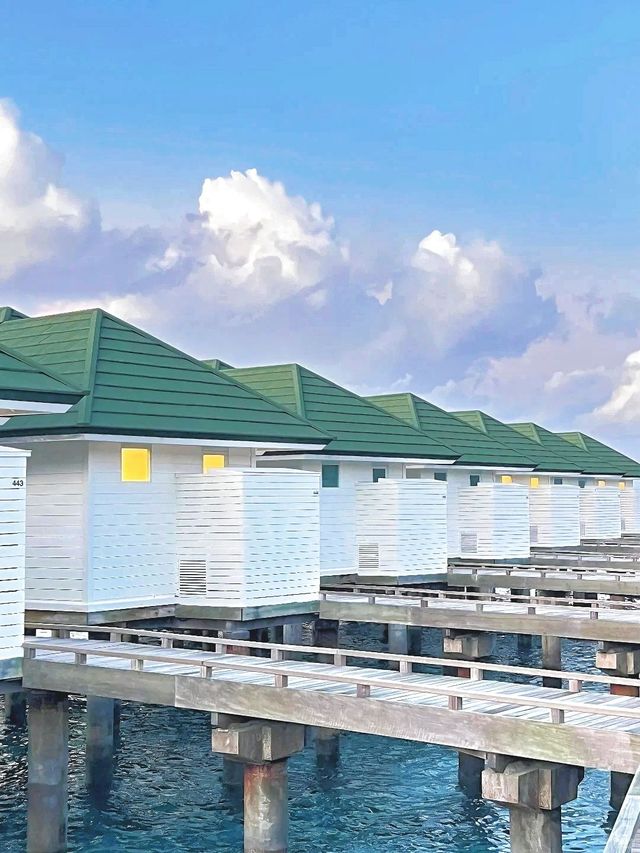 馬代芙拉瓦麗島6日 美哭了不想回家