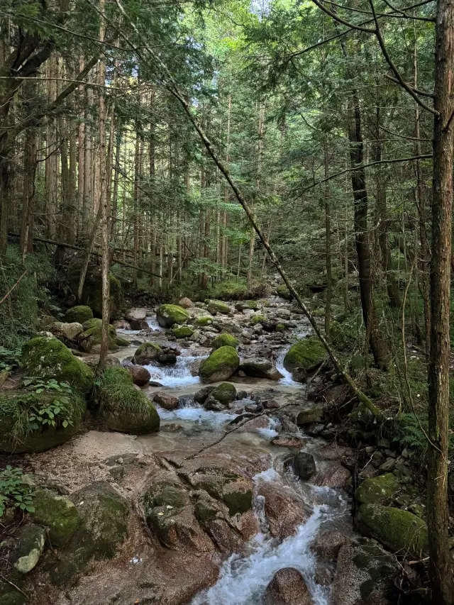 2-Day Trip to Japan | The Ultimate Short Holiday Guide