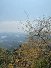 深圳陽台山懶人路線坡道登頂新手友好打卡