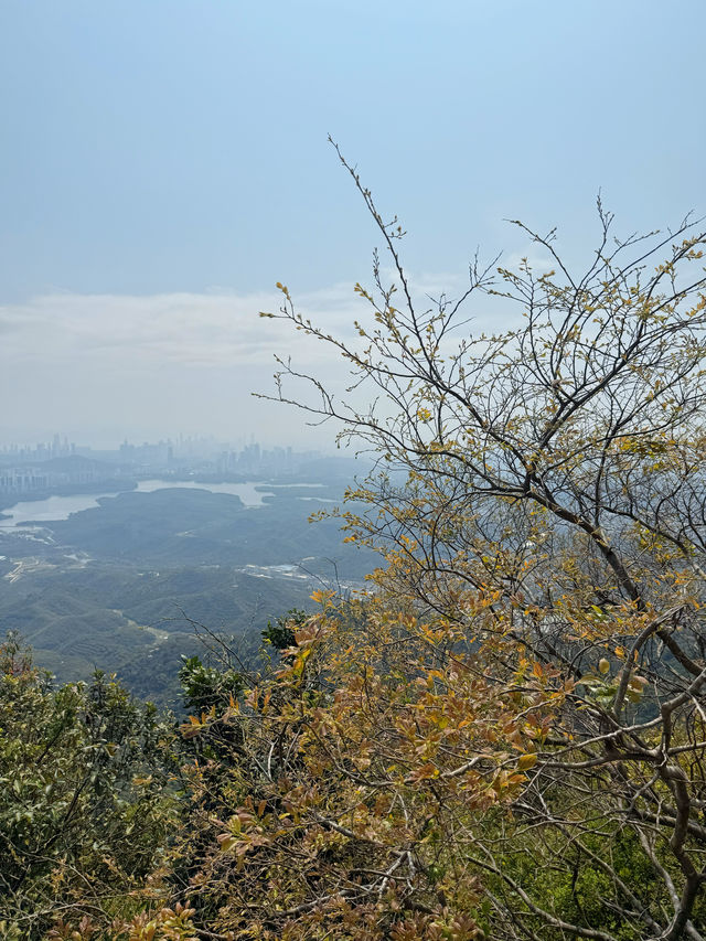 深圳陽台山懶人路線坡道登頂新手友好打卡