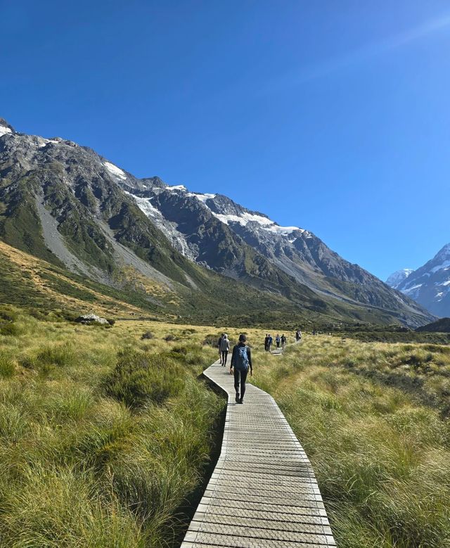 新西蘭必去庫克山國家公園，徒步看景超絕