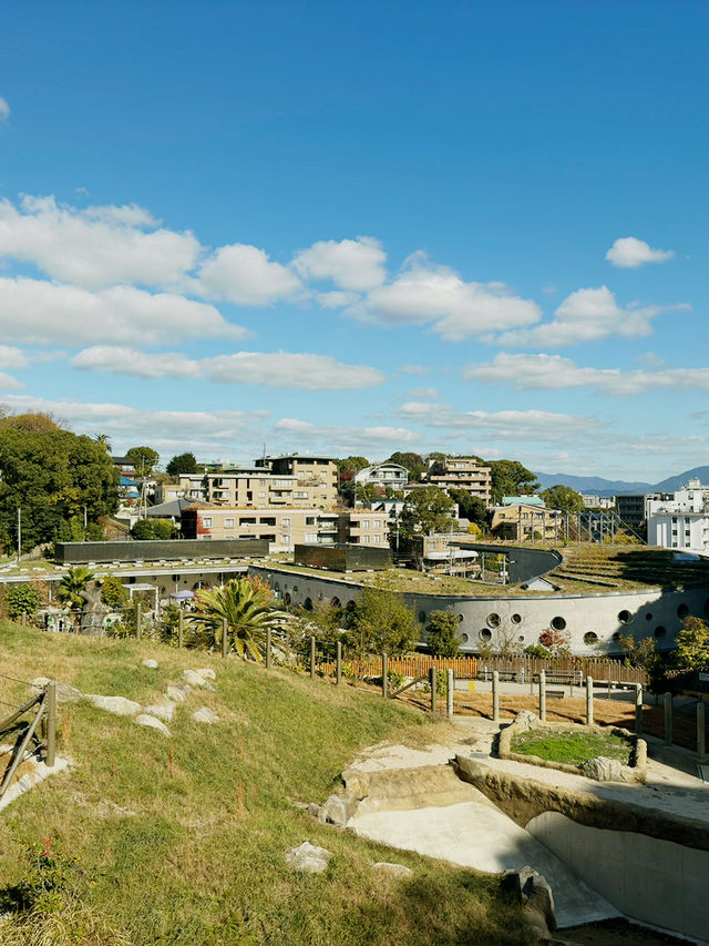 福岡市南公園一日遊｜秋楓與藝術的共舞🍁🏯