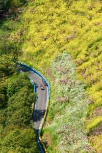 冇去婺源人逼人，湖州都可以上春山