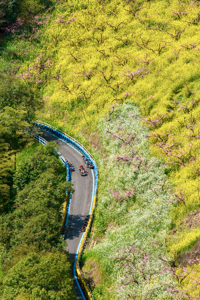 冇去婺源人逼人，湖州都可以上春山