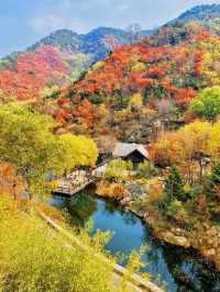 阜新旅遊必備攻略（超全）