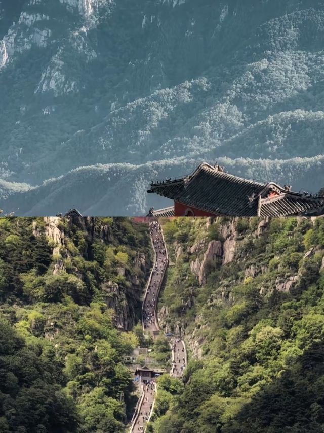 登泰山 | 一日領略五嶽之首的壯美