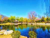 寶子們！錯過陶然亭公園嘅春日浪漫，真係會喊㗎